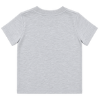 Gray Back